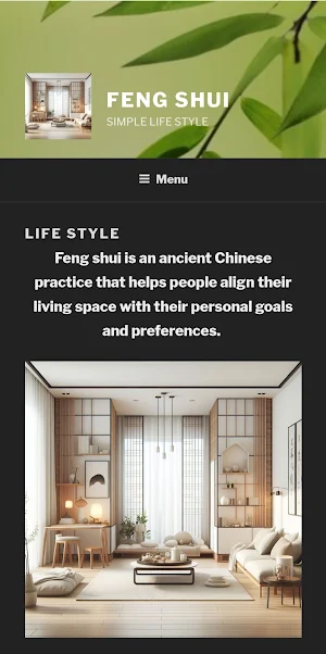 Feng Shui Style Screenshot 0