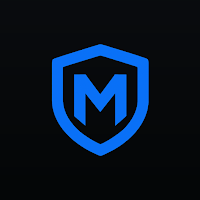 Minsas: EU Accident Report