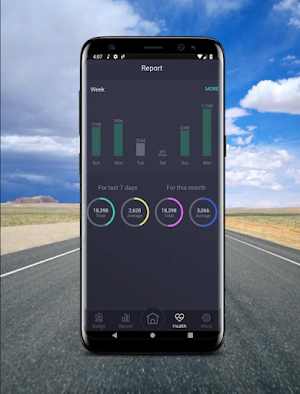 Pedometer Screenshot 1