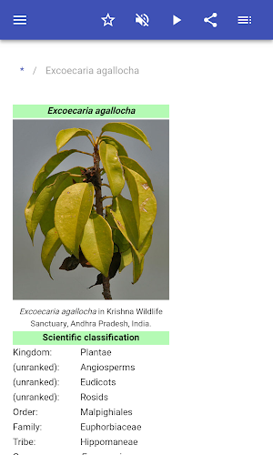 Noxious plants Screenshot 1