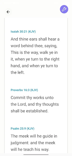 Pure-Lee Screenshot 3