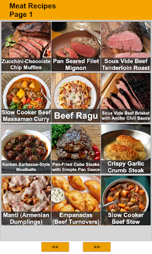 200 Meat Recipes Screenshot 0