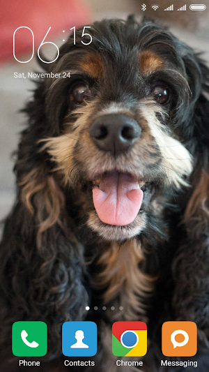 Cocker Spaniel Wallpapers Screenshot 0
