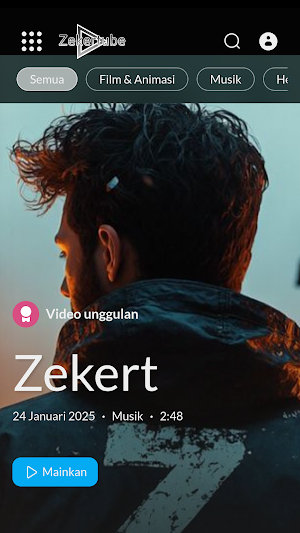 Zekertube Screenshot 0