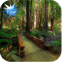 SN Nature Live Wallpapers