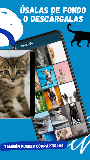 gatitos Screenshot 1
