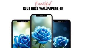 Blue Rose Wallpaper Screenshot 0
