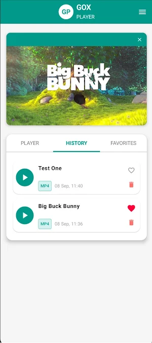 Gox Player Screenshot 2