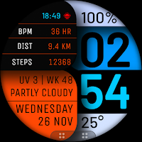 Watch Face WF173