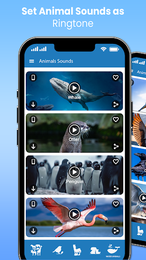 Animal Sounds and Ringtones Screenshot 3