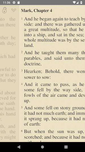 Bible: KJV, BBE, ASV, WEB, LSG Screenshot 3