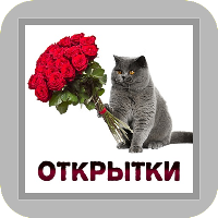 Открытки