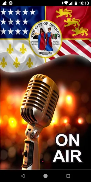 Detroit Radio Stations - Michigan, USA Screenshot 0