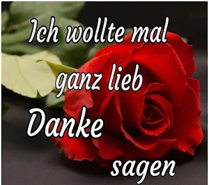 Danke Bilder Screenshot 0