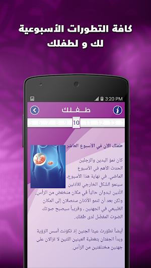 انت و الحمل Screenshot 1