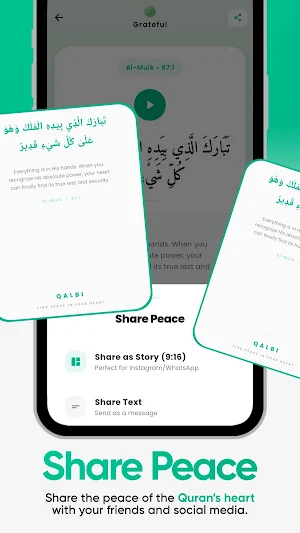 Qalbi: Quran & Mood Guidance Screenshot 3