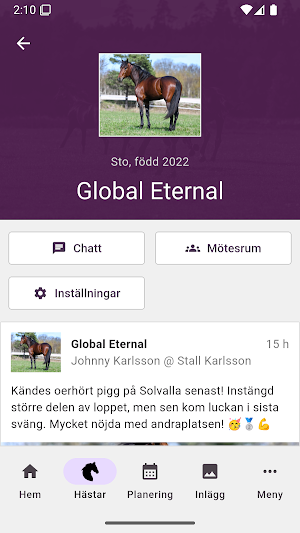 Stejbel Stall Screenshot 1