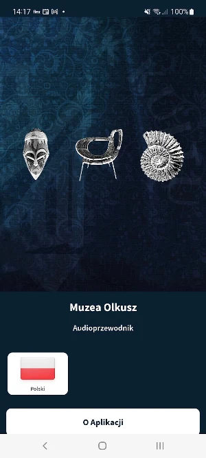 Kolekcje Muzealne MOK Olkusz Screenshot 0