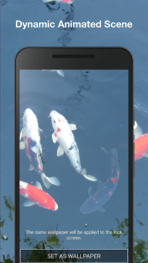 Koi Fish Live Wallpaper Screenshot 1