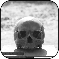 Skull wallpapers