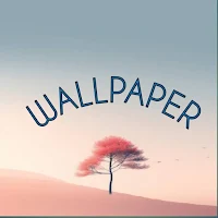 Flower Wallpapers - HD Designs