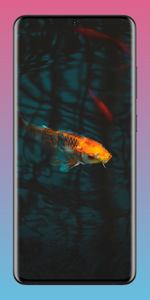 Koi Fish Pond Wallpaper HD 4K Screenshot 3