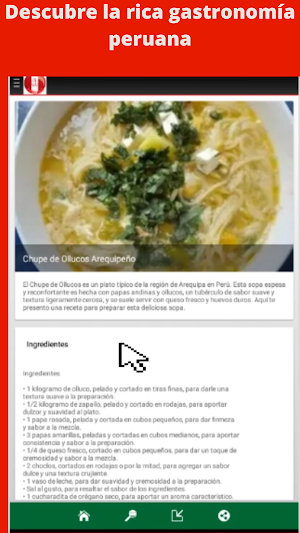 Recetas de comidas Peruanas Screenshot 3
