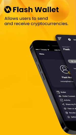 Flash Wallet Screenshot 0