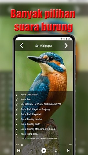 Suara burung masteran Screenshot 3