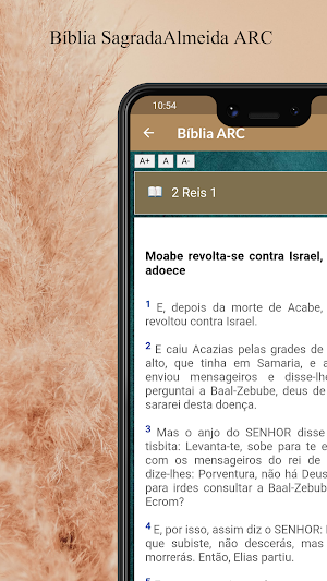 Bíblia Sagrada Almeida ARC Screenshot 1