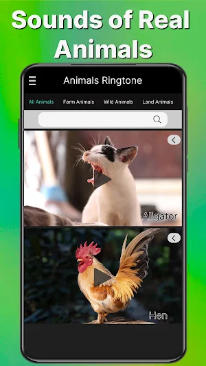 Animal & Bird Sounds Ringtones Screenshot 1