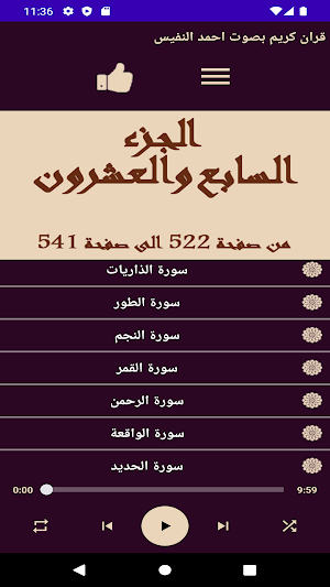 قران كريم بصوت احمد النفيس Screenshot 1