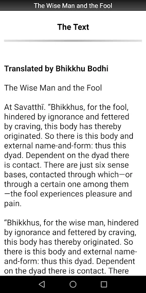 The Wise Man and the Fool Screenshot 1