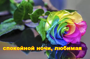 спокойной ночи Screenshot 0
