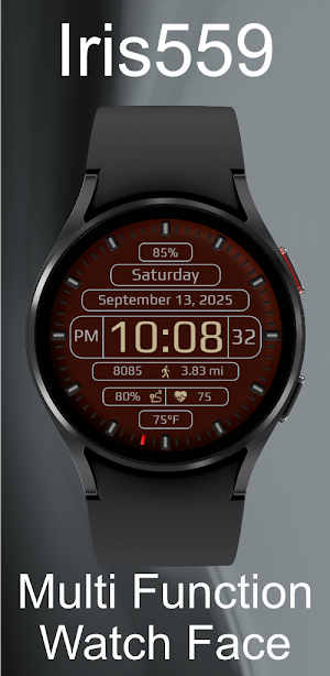 Iris559 Multi-Function Digital Screenshot 2
