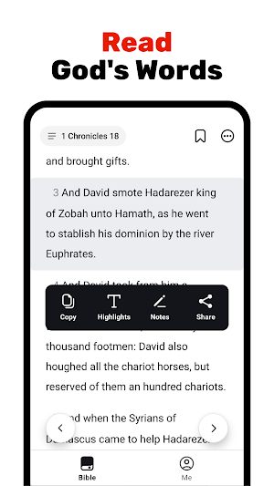 Bible Lite Screenshot 0