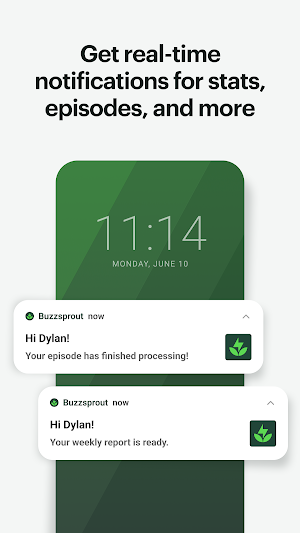 Buzzsprout Screenshot 3