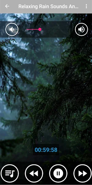 Soft Rain Sounds for Sleeping Screenshot 3
