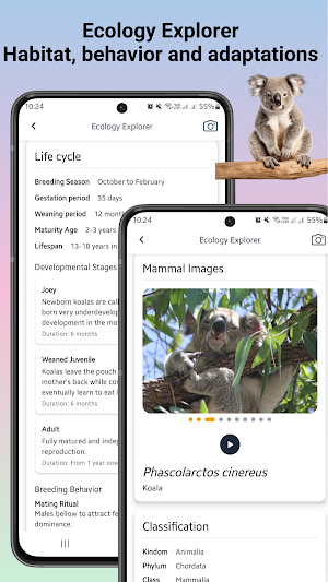 Mammal identifier Screenshot 3