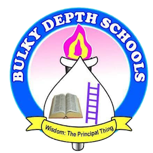 Bulky Depth Schools Screenshot 3