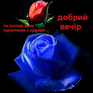 добрий вечір Screenshot 1