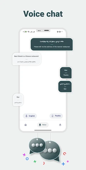 English to Pashto Translator Screenshot 2