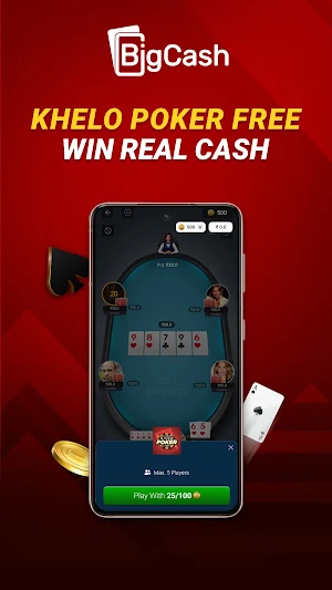 BigCash Screenshot 0