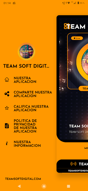 TEAM SOFT DIGITAL Screenshot 1