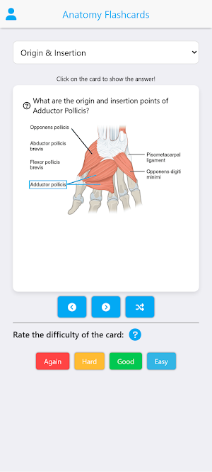 Anatomy Flashcards 2025 Screenshot 0