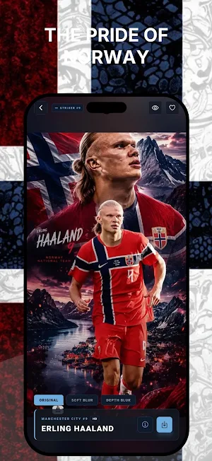 Erling Haaland Wallpaper HD Screenshot 2