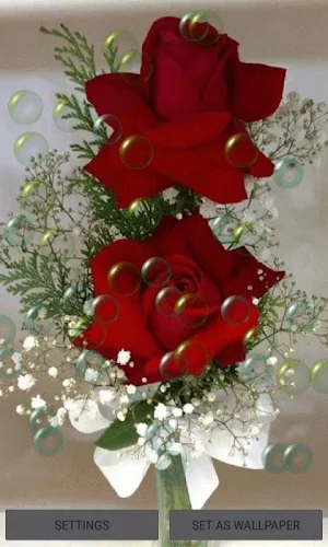 Red Roses Bubble LWP Screenshot 2