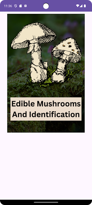 Mushroom Guide and Identifier screenshot 1