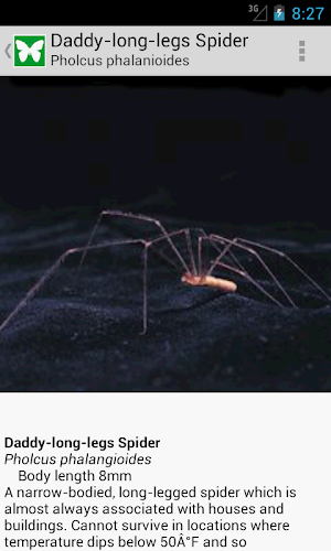 Collins British Wildlife Screenshot 2