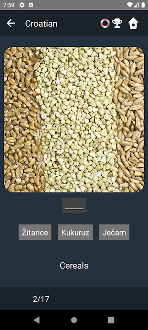 Croatian Language Tests Screenshot 3